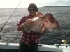 Chongy's Pink Snapper
